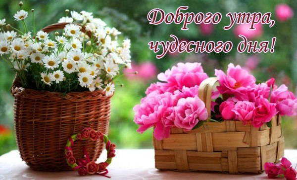 Доброе утро и чудесного дня картинки красивые 
