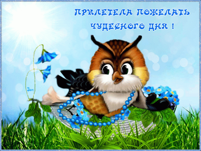 Чудесного дня картинки