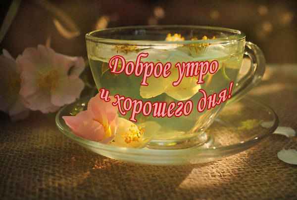Красивые картинки с Добрым утром и хорошего дня