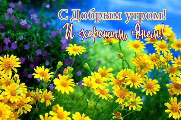 Картинка с Добрым утром и хорошим днем скачать бесплатно