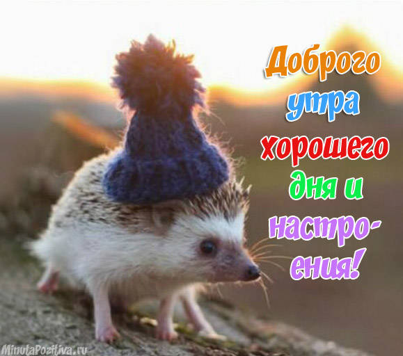 Доброго утра и хорошего дня_2