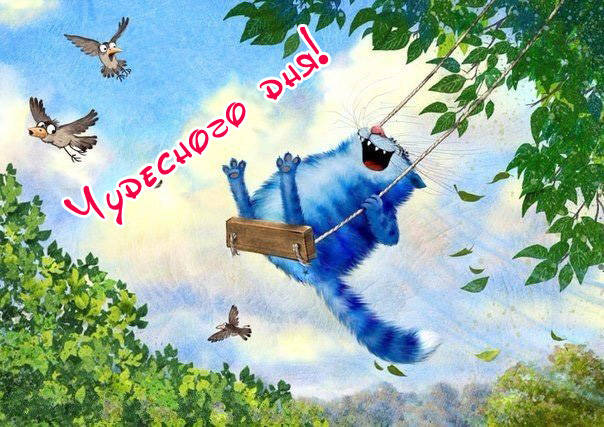 Доброго утра и прекрасного дня картинки 