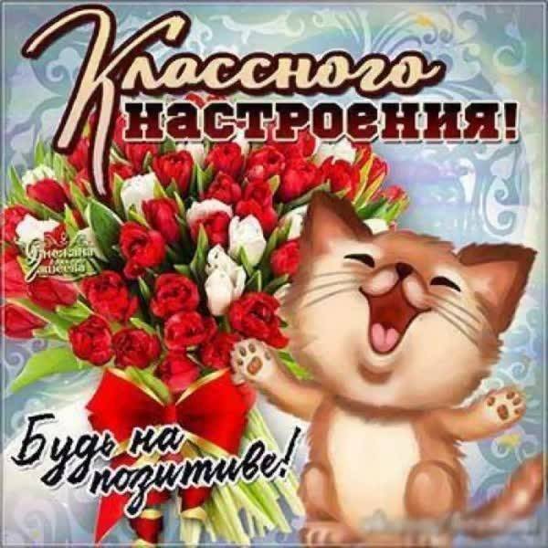 Хорошего настроения и дня