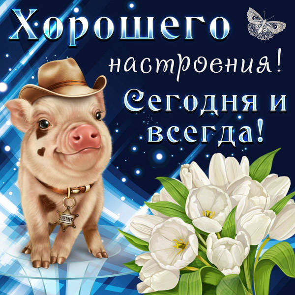 Хорошего настроения и дня картинки скачать 