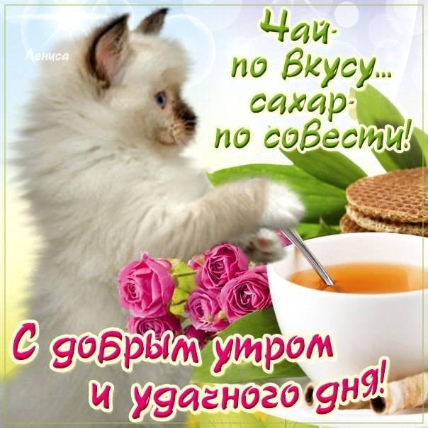 Картинки с пожеланиями доброго утра, хорошего дня и настроения