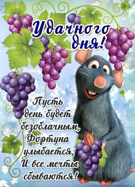 Картинка прикольная с пожеланием хорошего дня