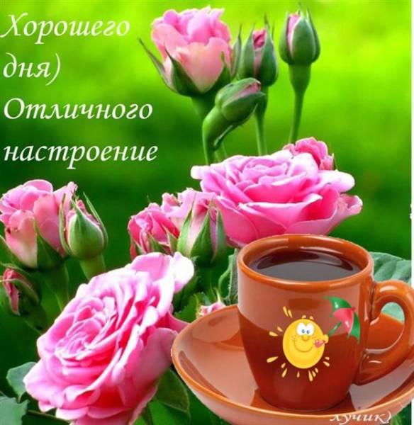 кофе, розы и пожелание