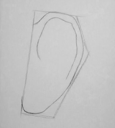 How to draw an ear step 2_1