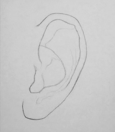 how to draw an ear step 3