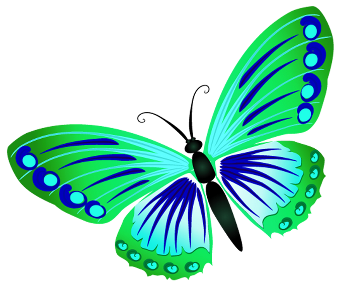 Бабочка в садик. Бабочка мультяшный. Бабочки для детского сада. Изображение бабочки для детей. Цветные бабочки для детей.