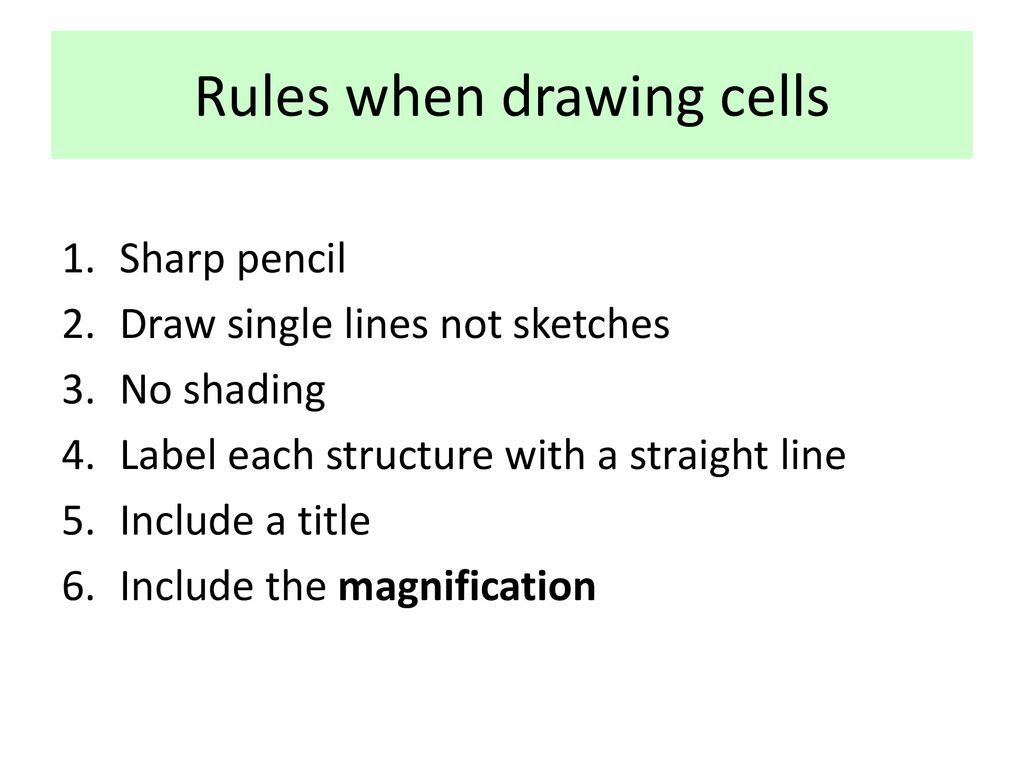 Rules when drawing cells