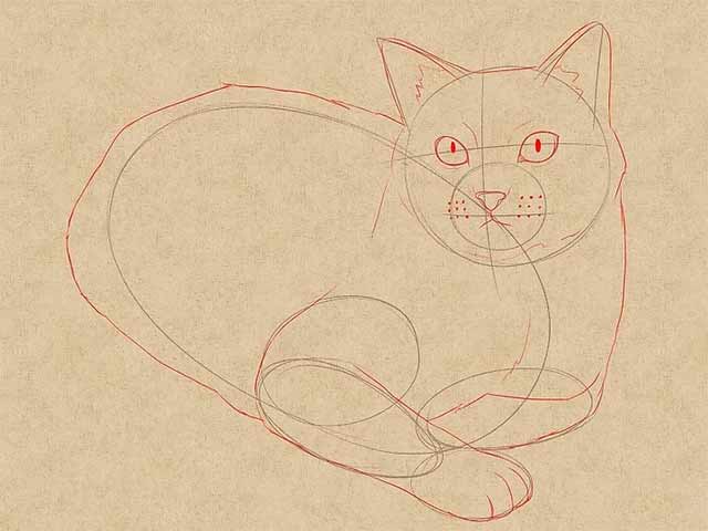 Как нарисовать лежачую кошку - Дорисуйте основные черты кошки.