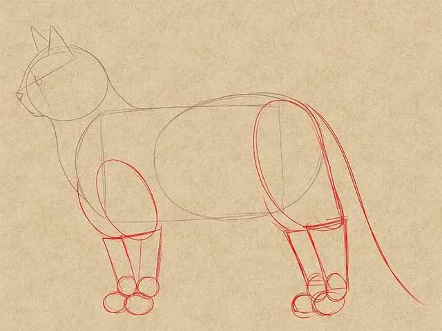 Как нарисовать кошку - Рисуем ноги.