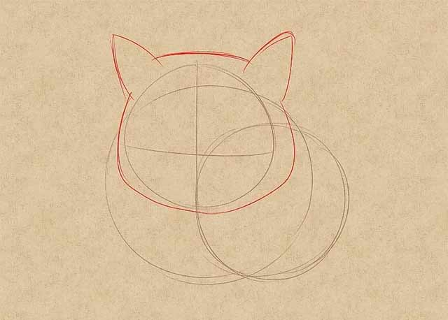 Как нарисовать лежачую кошку спереди - Нарисуйте контур мордочки кошки.