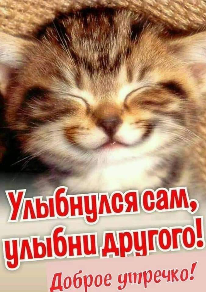 Улыбнулся сам, улыбни другого! Доброе утречко!