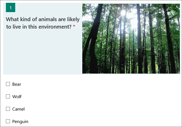 Image of a forest displayed next to a question