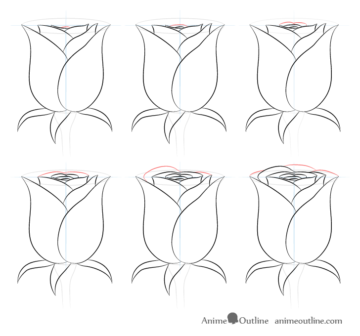 Rose back petals drawing step by step