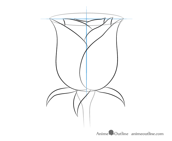 Rose front sepals drawing