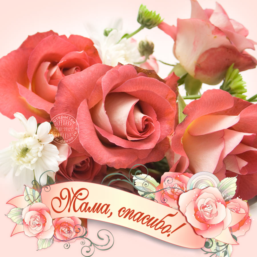 Картинка с розами на День матери