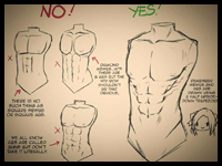 Drawing Chest and Abs