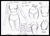Drawing the Female Chest and Torso