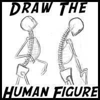 How to Draw the Human Figure