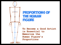 Learn How to Draw Human Proportions by Memorizing the Stick Figure