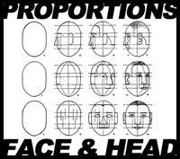 Drawing Face and Head in Correct Proportions