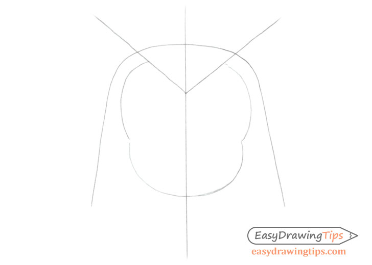 Owl face construction lines