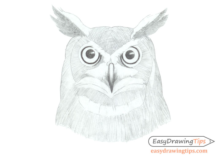 Owl face drawing basic shading