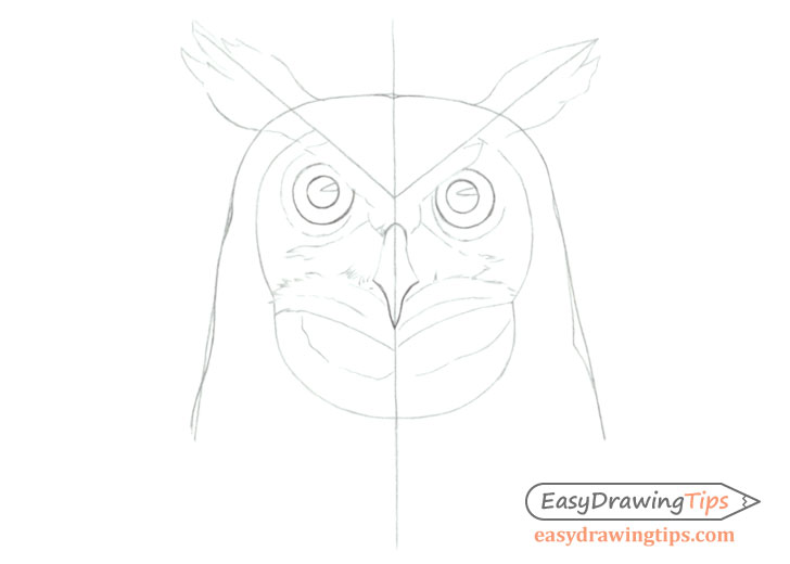 Owl face line drawing with construction lines