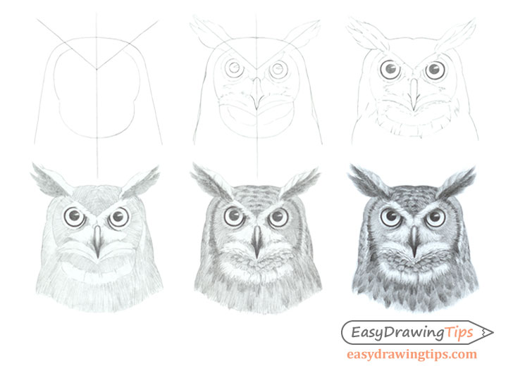 Owl face drawing step by step