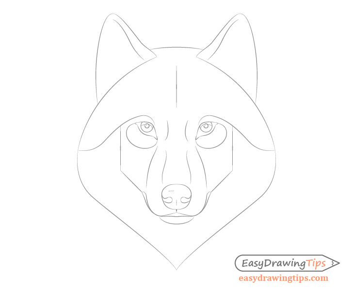 Wolf face details drawing
