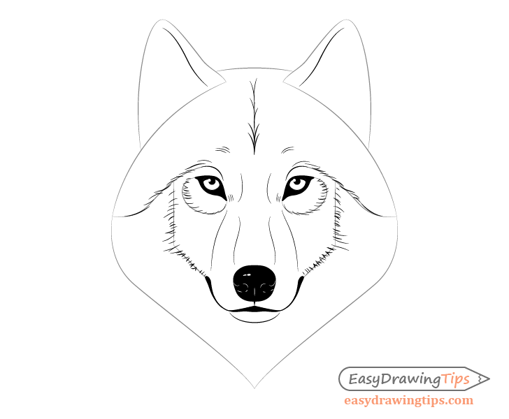 Wolf face inner fur drawing
