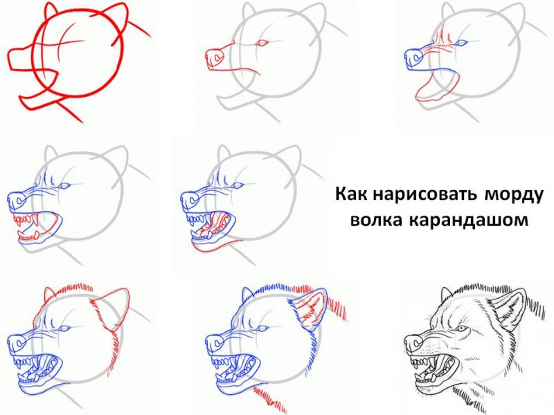 TRUST-An-Equine-Original Картинки для срисовки сложные