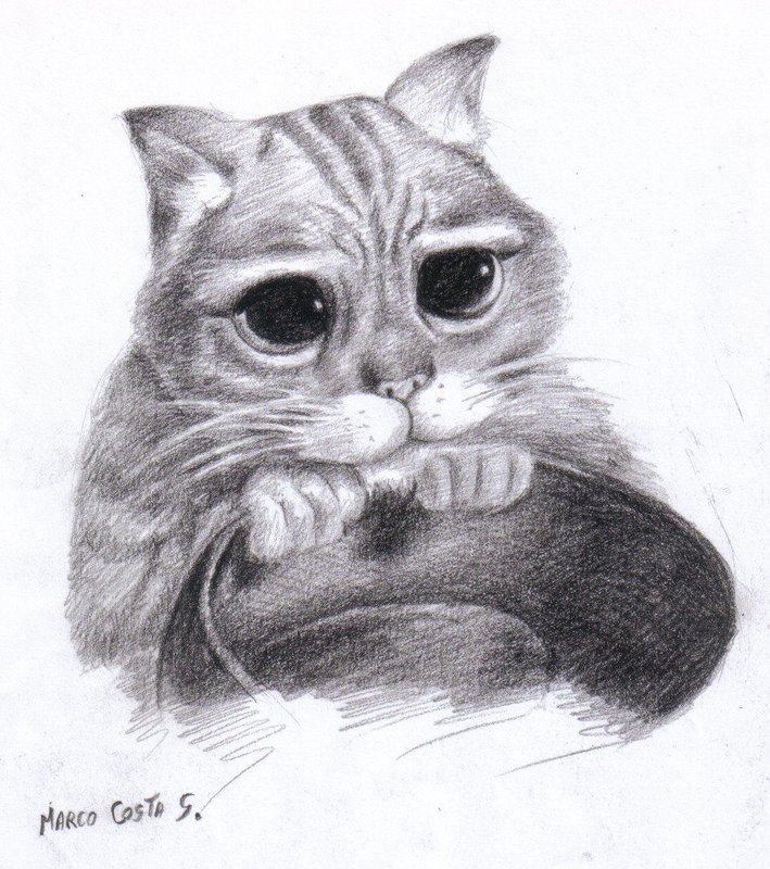 Puss-in-Boots Кот в сапогах: рисунок карандашом