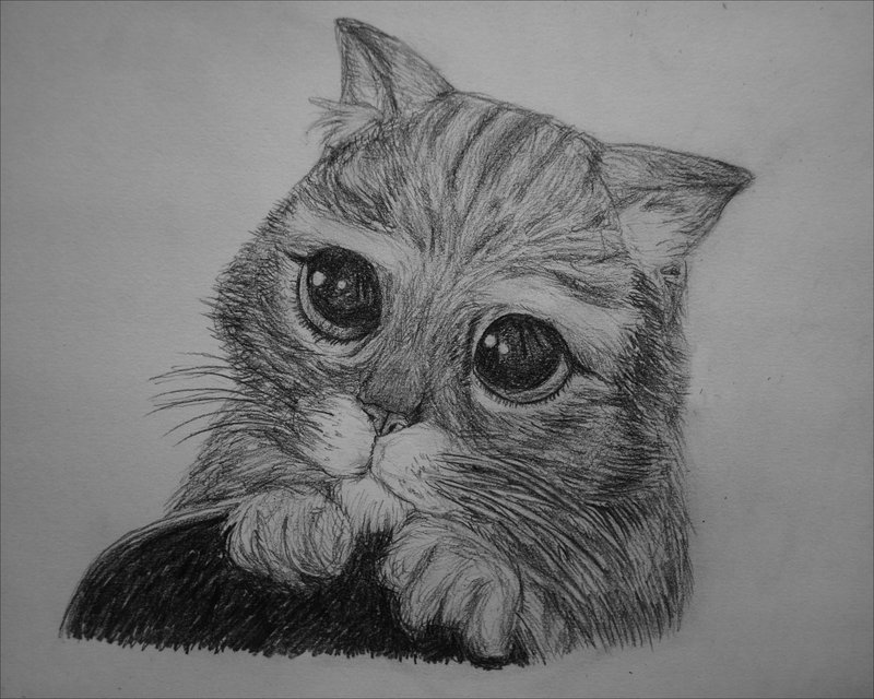 Puss-in-Boots Кот в сапогах: рисунок карандашом