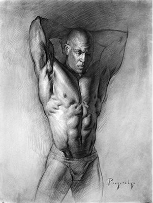 Torso Anatomy Drawing of Anthony Portfolio Piece