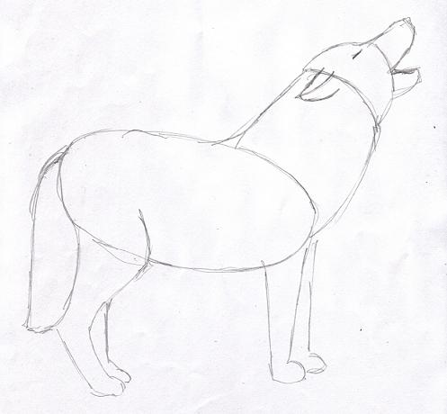 wolf-drawing4