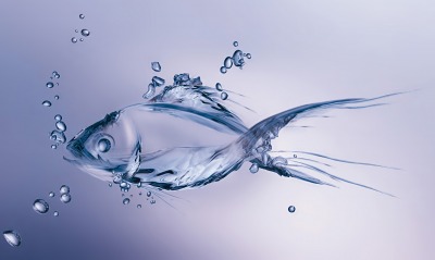 вода рыба графика фигура