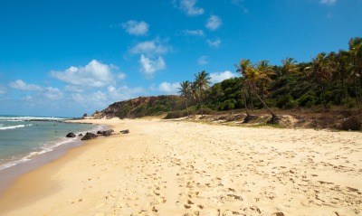 пляж берег песок волны пальмы