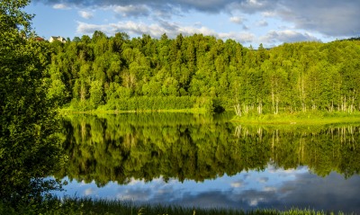 озеро лес зелень лето отражение