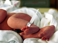     Новорожденные тяжеловесы  