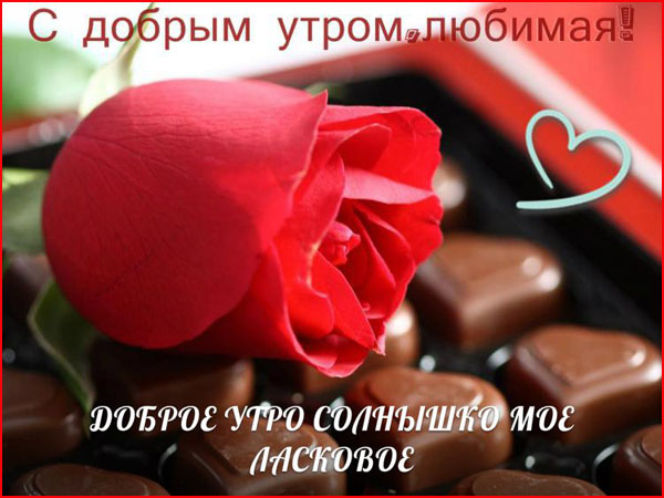 Стихи любимой девушке с добрым утром Стихи любимой девушке с добрым утром
