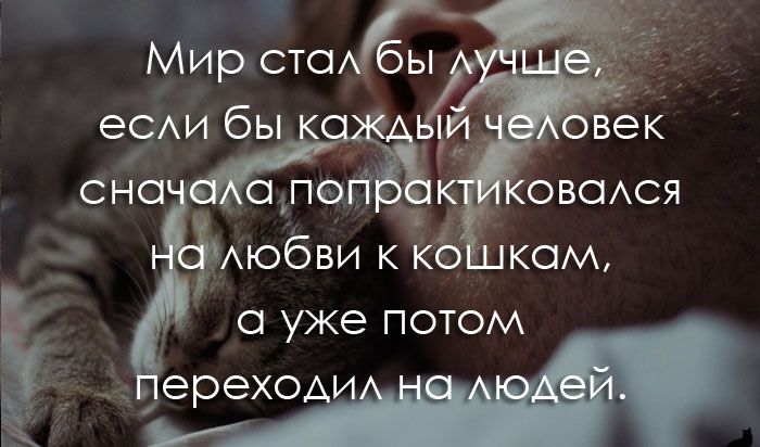 Как же я ненавижу эту жизнь сделайте меня в следующей жизни симпатичным парнем