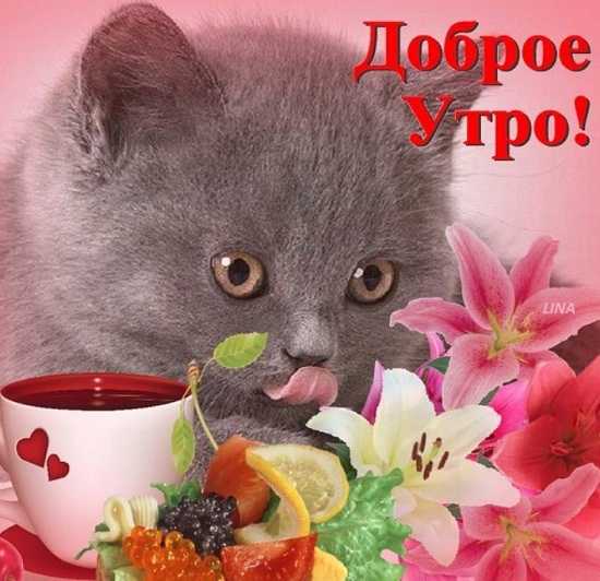 Необыкновенное утро картинки