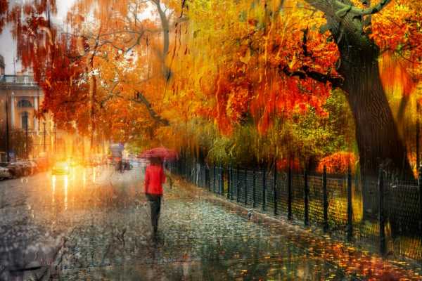 Картинки дождь окно осень