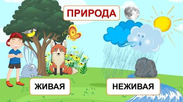 Предметы неживой природы картинки для детей