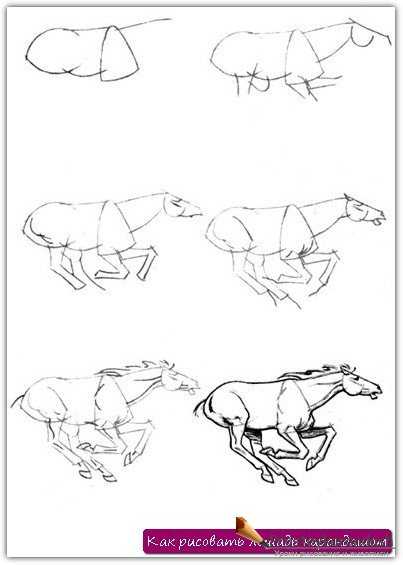 Как нарисовать коня легко