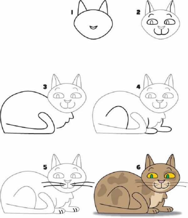 Составьте программу по которой чертежник нарисует кота